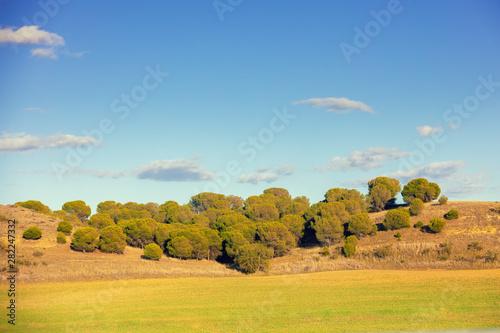Landscape with arable fields and grove of Stone pine trees on the horizon. Rural landscape in early spring. Spain, Europe