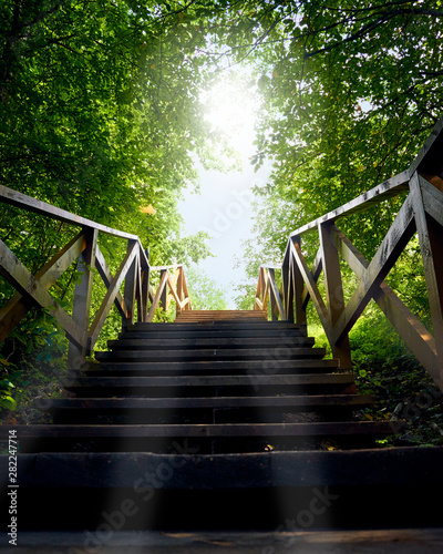 Fototapeta Naklejka Na Ścianę i Meble -  path, road from darkness to light, blue sky, a wooden ladder among trees, summer