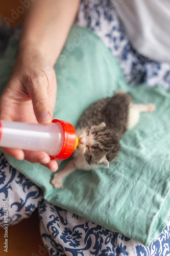 Woman bottle-feeding a newborn baby cat