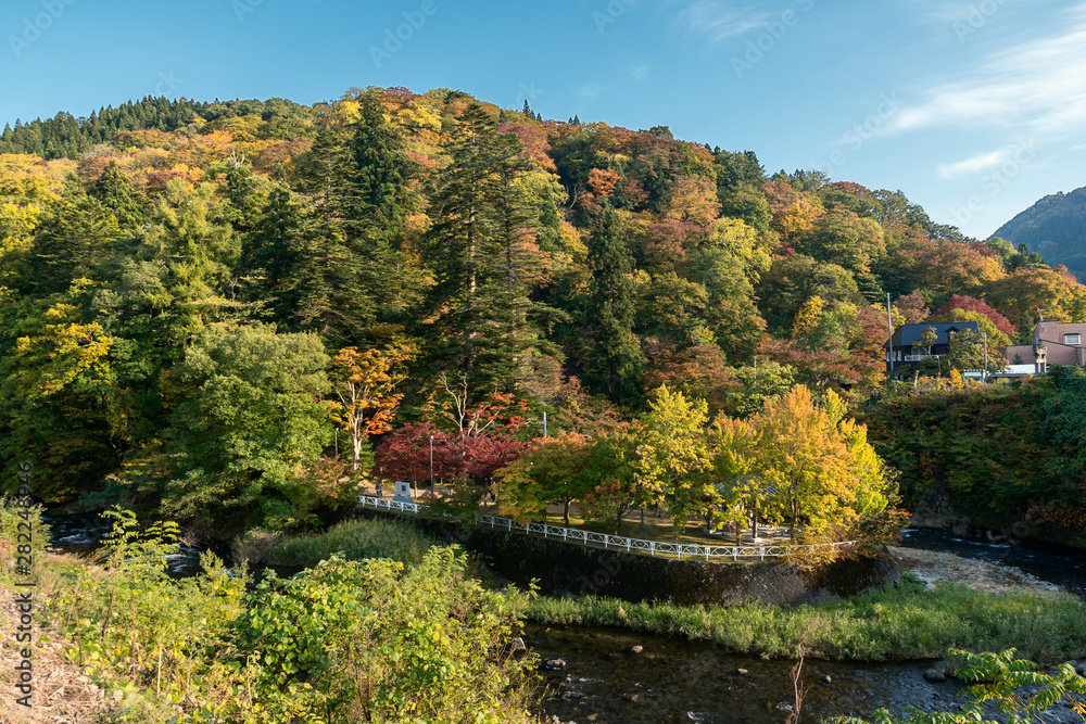 Autumn leaves at Nakano Momiji mountain, Kuroishi, Aomori, Japan