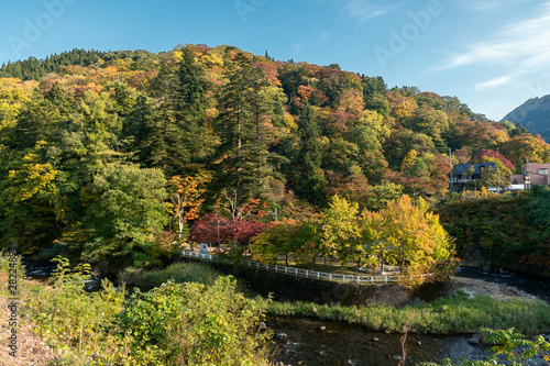 Autumn leaves at Nakano Momiji mountain  Kuroishi  Aomori  Japan