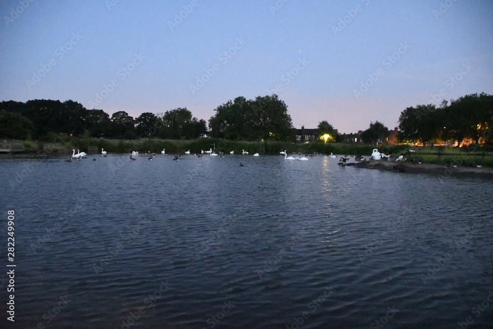 Bird lake at late evening
