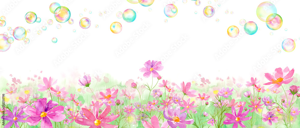 満開のコスモス畑とシャボン玉の水彩イラスト Stock Illustration Adobe Stock