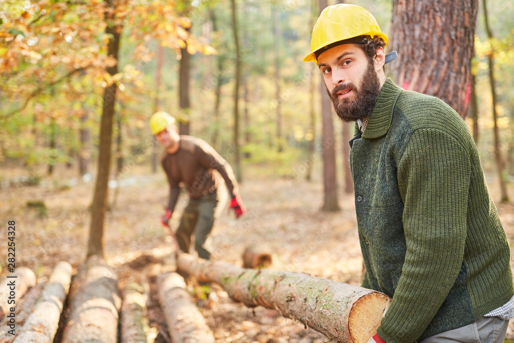 Lumberjack transporting lumber in the forest Lumberjack transporting lumber in the forest