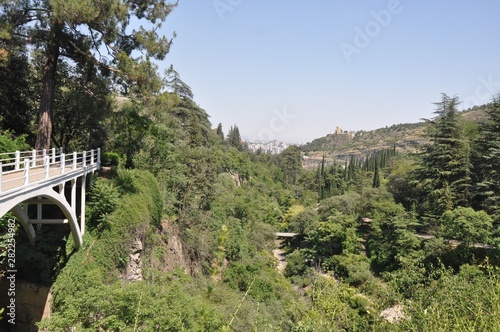 White bridge over ravine among trees in Tbilisi Botanical Garden