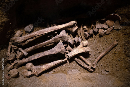Obraz na plátně Prehistoric human bone remains