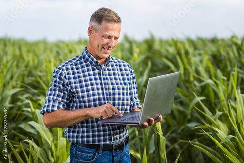 Smiley agronomist using a laptop photo