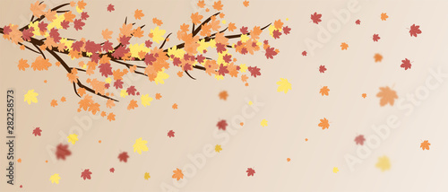 Autumn leafs background in paper cut style. Vector illustration design for poster  banner  template  flyer  brochure  wallpaper  advertising display.
