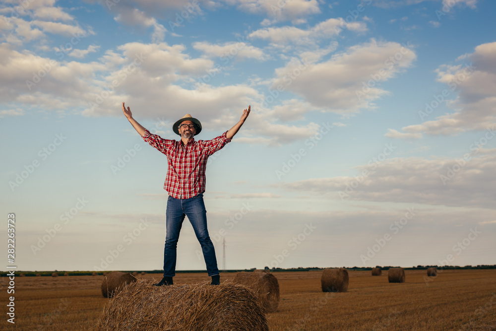 man standing on wheat bale with arms wide spread man standing on wheat bale with arms wide spread