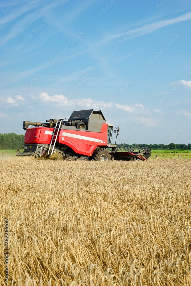 Fototapeta premium Roter Mähdrescher beim dreschen eines Getreidefeldes