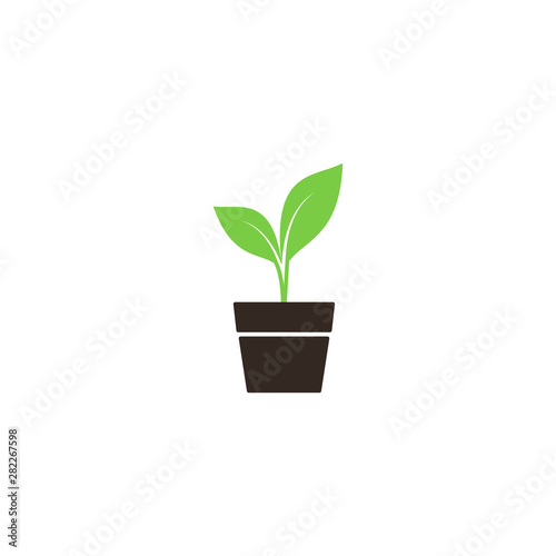 Young green sprout in a pot simple vector colorful icon. New plant in a pot 