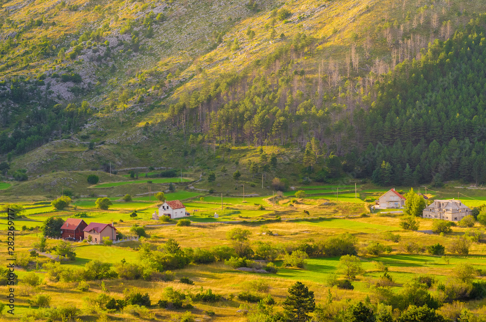 Summer on a sunny day, mountains, green fields and meadows. Mountain village Montenegro