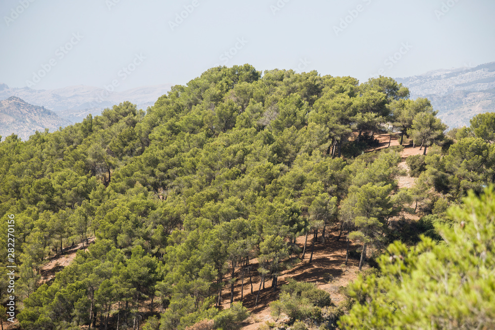 paisaje natural de el chorro, málaga, españa