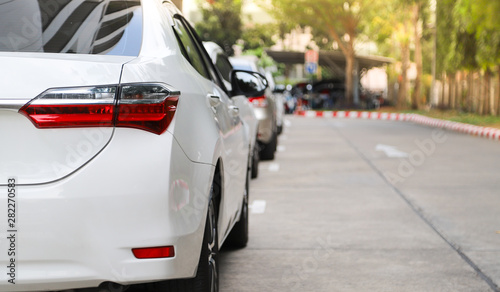 Closeup of rear or back side of white car with  other cars parking in parking area beside the street in sunny day. 