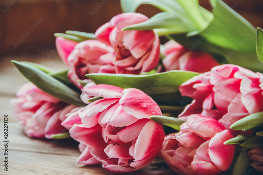 Tulips lie on a wooden table. Close-up. Pink tulips. Raspberry flowers.