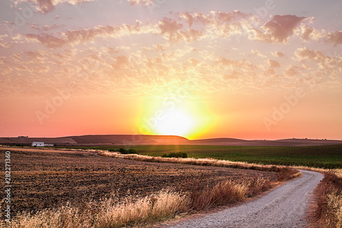 precioso paisaje al tardecer campos europeos tono anaranjaros cielo rosa fondo