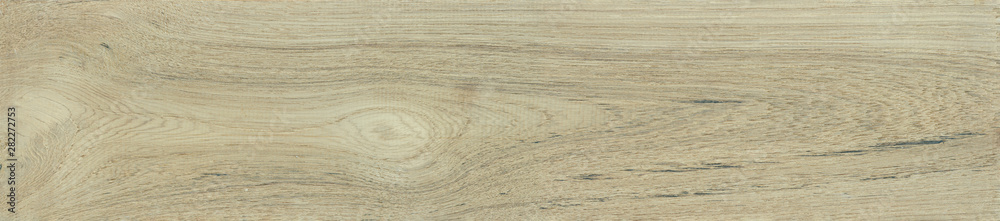 Real natural wood texture and surface background ,Teakwood,Tectona grandis