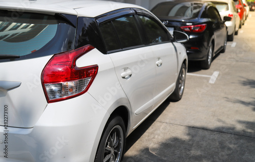 Closeup of rear or back side of white cars parking in parking area beside the street in sunny day.