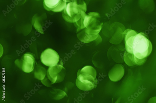 Green bokeh blur background, abstract leaf light and sunshine with out of focus.