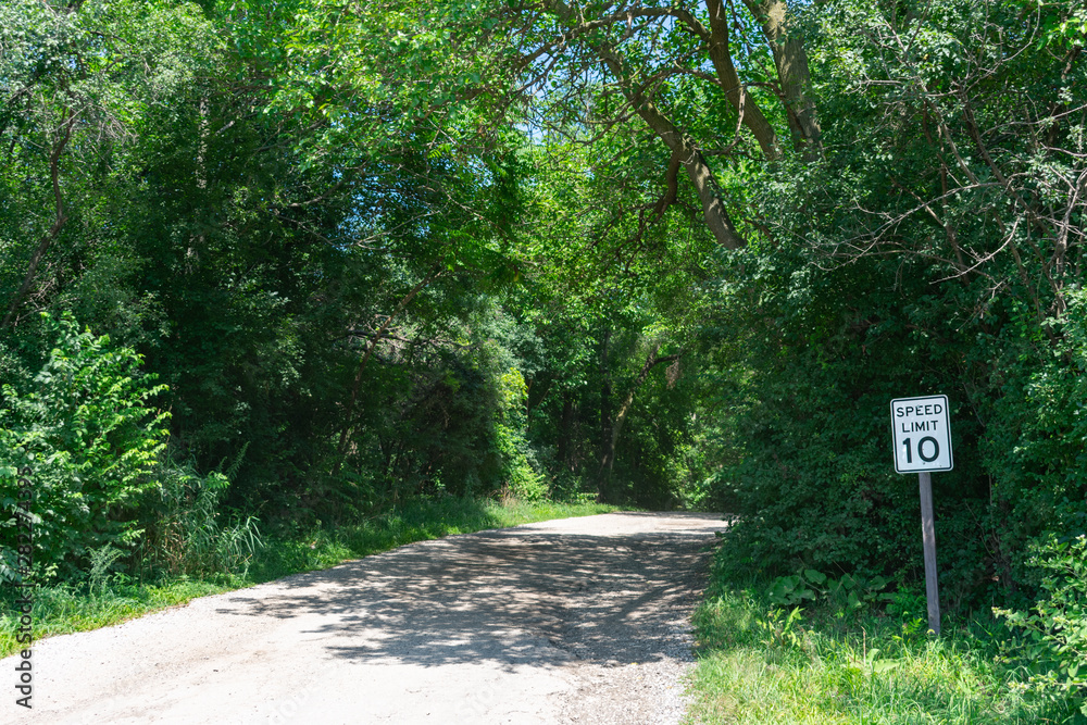 Rural Shaded Dirt Road in a Forest with Green Trees and Speed Limit Sign Rural Shaded Dirt Road in a Forest with Green Trees and Speed Limit Sign