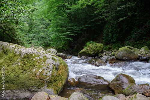 mountain river with large stones in the riverbed and stone banks, surrounded by forest along the banks, on a bright sunny day, with clouds in the sky.