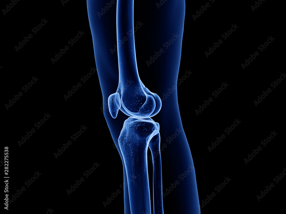 3d rendered medically accurate illustration of the healthy knee joint 3d rendered medically accurate illustration of the healthy knee joint