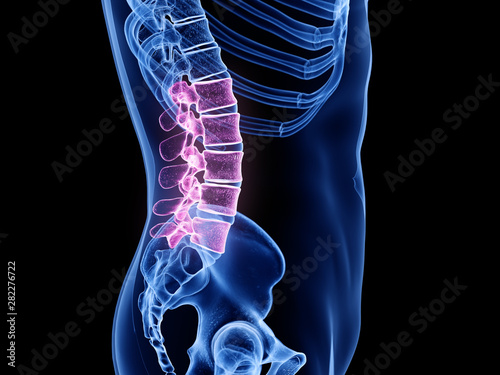 3d rendered medically accurate illustration of the lumbar spine