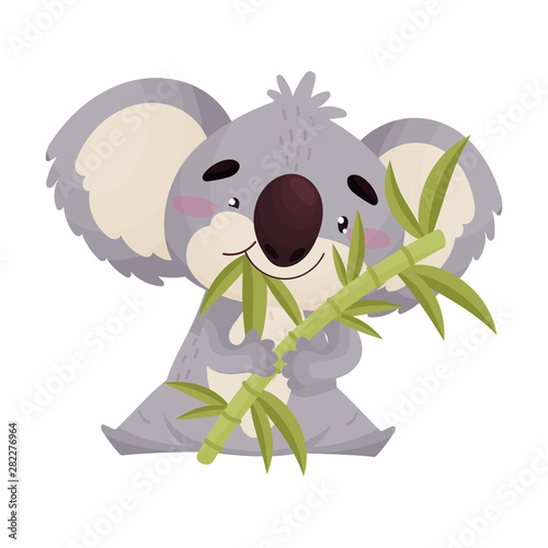 Cute koala eats bamboo leaves. Vector illustration on white background.