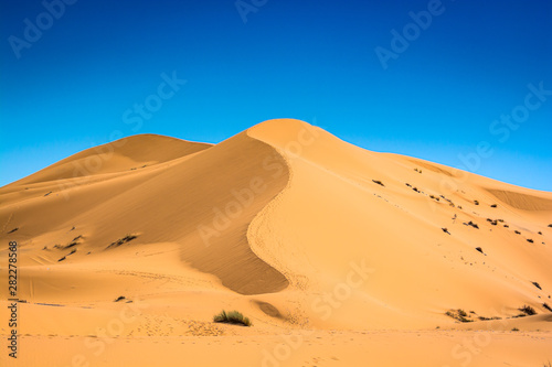 Famous dunes Erg Chebbi in Morocco  near Merzouga