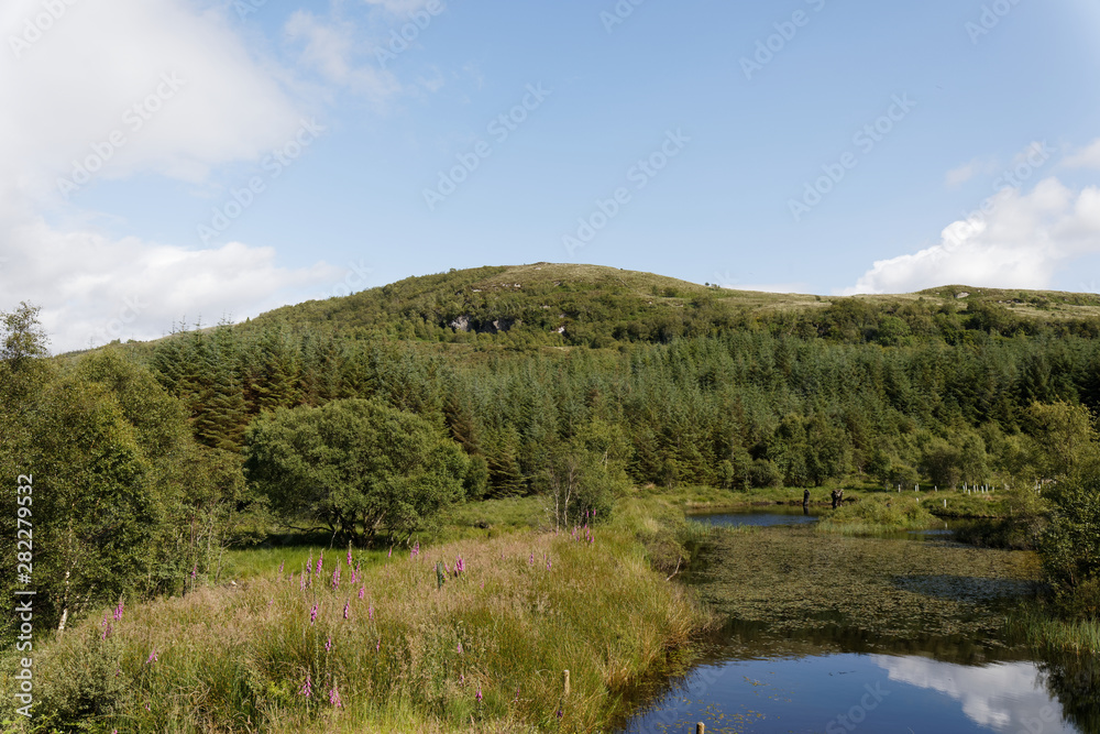 Highland titles nature reserve - Glencoe, Scotland, UK
