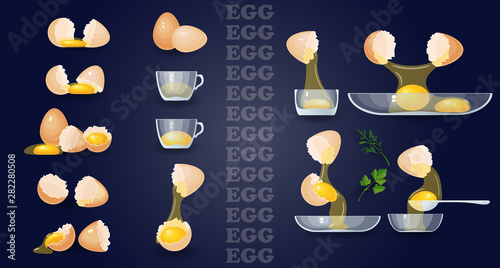 Eggs, yolks, albumen, eggshells, glass bowls. Vector set.