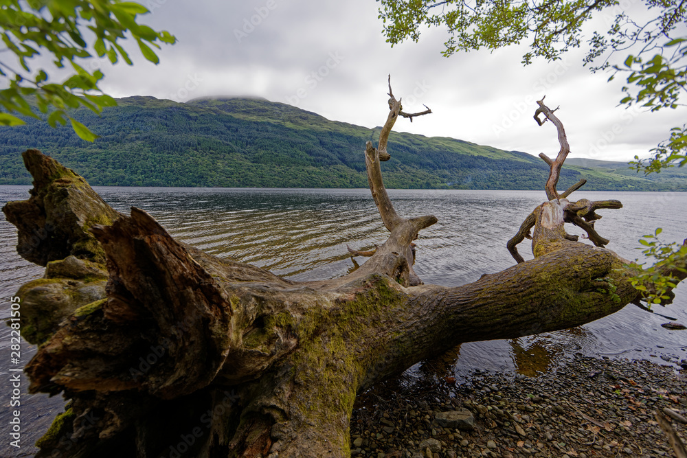 Loch Lomond, Loch Lomond & The Trossachs National Park, Scotland, UK Loch Lomond, Loch Lomond & The Trossachs National Park, Scotland, UK