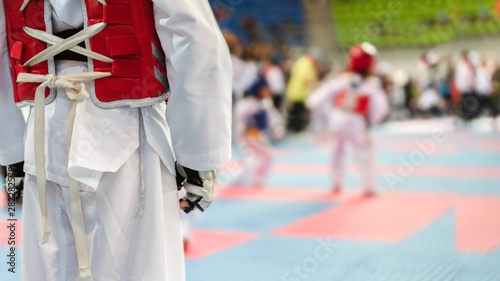 Canvas Print Moment of Taekwondo Kids in the stadiums