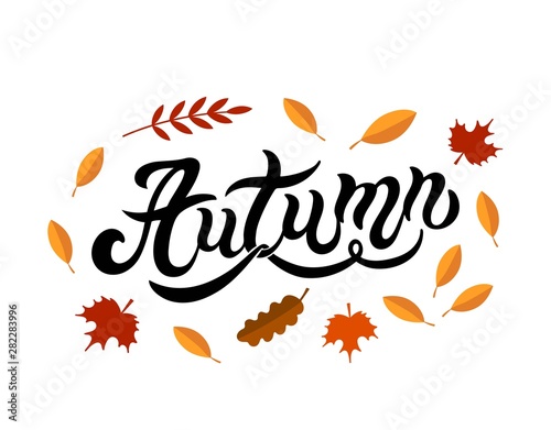 Autumn. Hand drawn lettering. Vector illustration. Best for Autumn design.