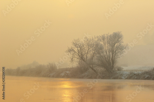 Trees covered with frost. Winter sunset