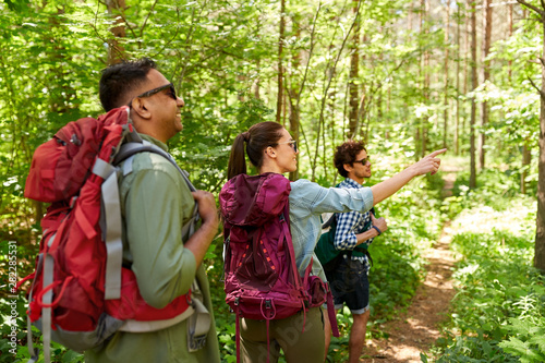travel, tourism, hike and people concept - group of friends walking with backpacks in forest