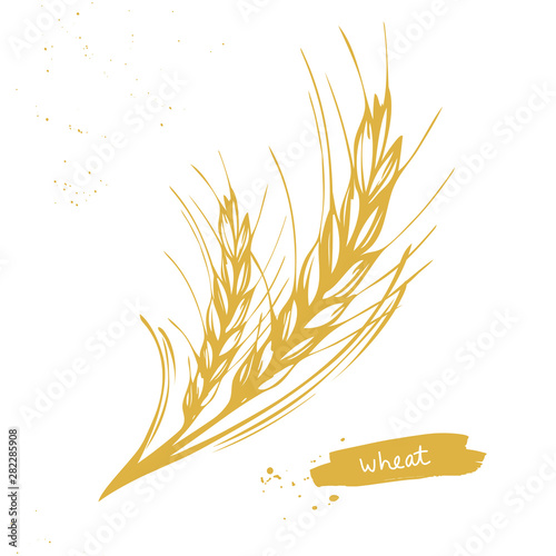 Canvas Golden wheat, barley ears symbol