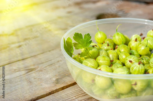 ripe appetizing gooseberry on natural wooden background, shot with natural sunlight. Green striped gooseberry in transparent container