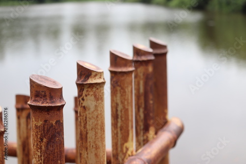 Bamboo standing vertically in front of a green vast river photo