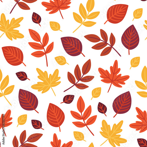 Seamless pattern with autumn foliage on white background. Hand drawn vector illustration.
