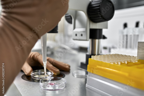 Process of in vitro fertilization in laboratory