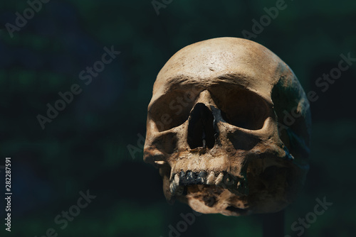 Human skull of a skeleton in bone remains. Evolution and specie concept against a black background. Empty copy space for Editor's text.