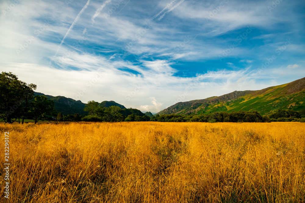 Obraz premium Dry grass field landscape with mountains and blue sky with intermittent clouds - Lake District, Cumbria, England