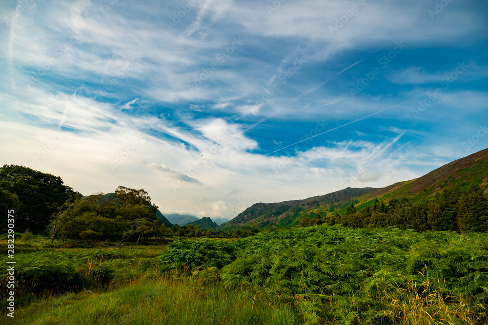 Lake District mountains landscape with cloudy sky and nice green plants in front plan