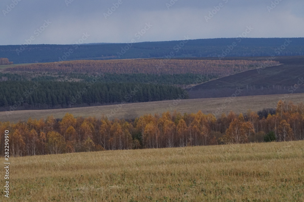 autumn landscape with wheat field and blue sky autumn landscape with wheat field and blue sky
