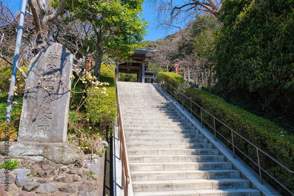 鎌倉 荏柄天神社 参道