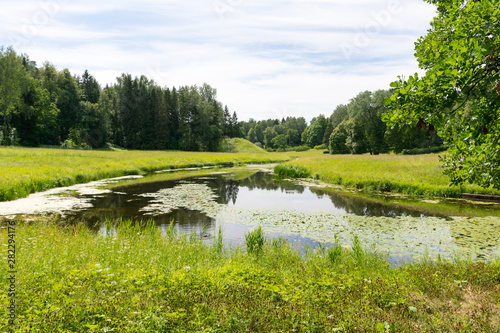 Fototapeta Naklejka Na Ścianę i Meble -  Valley of the Slavyanka river in Pavlovsk Park