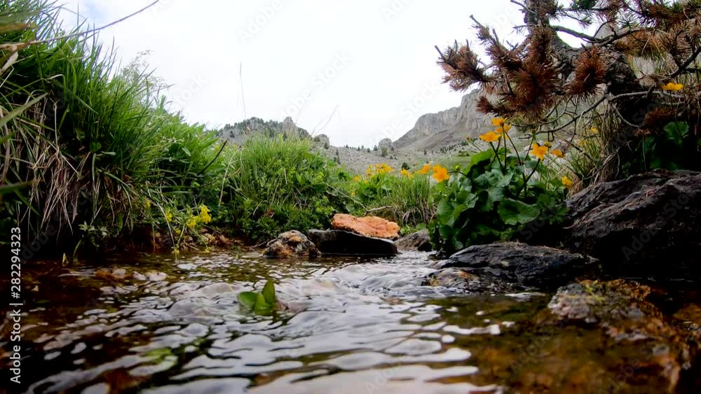 small stream in the mountain