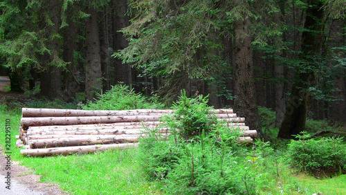 Holzstapel am Waldweg