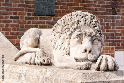 Obraz na płótnie Sculpture of sleeping lion in front of Town Hall at Market Square (Krakow, Poland) w salonie